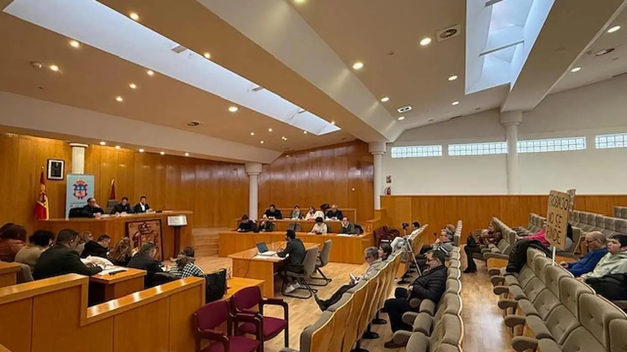 Pleno 29 enero San Andr&eacute;s