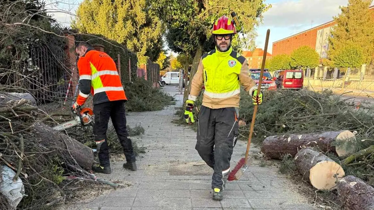Un &aacute;rbol de grandes dimensiones se desplom&oacute; este jueves frente al colegio Mar&iacute;a Auxiliadora, en la pedan&iacute;a leonesa de Armunia, provocando varios da&ntilde;os materiales y generando momentos de preocupaci&oacute;n entre los vecinos de la zona. Foto: Bomberos Le&oacute;n