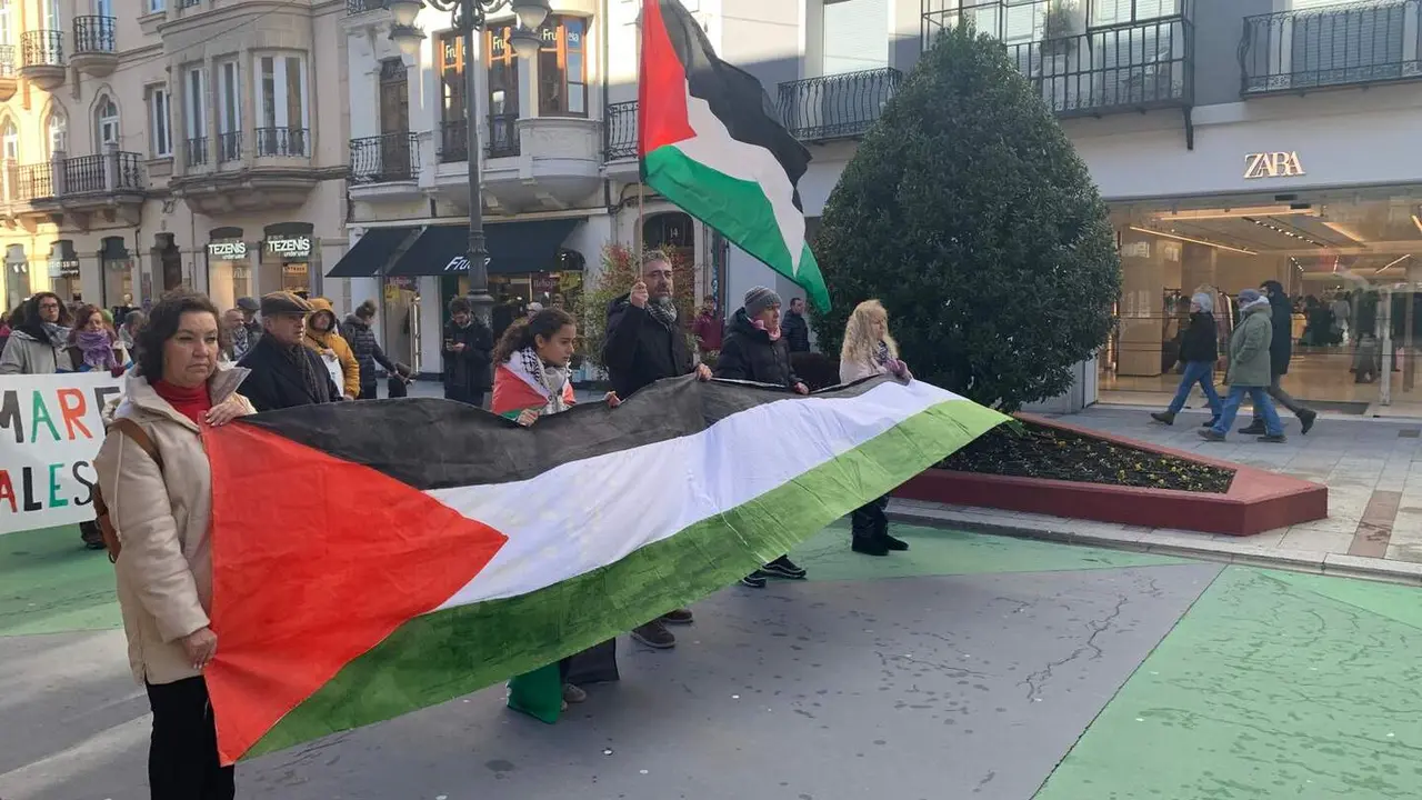 marea palestina leon (15)
