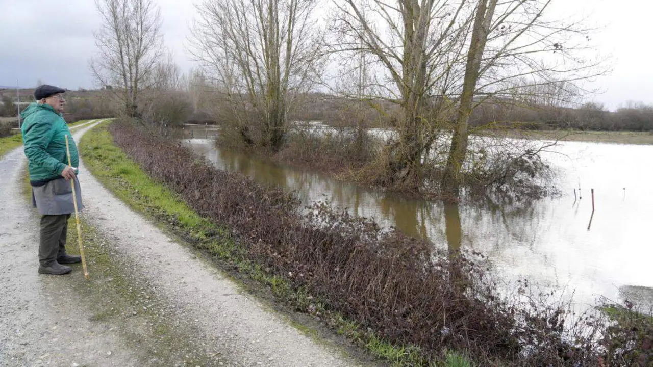 La provincia de Le&oacute;n contin&uacute;a este viernes bajo una estrecha vigilancia hidrol&oacute;gica debido al aumento del caudal de varios r&iacute;os, con 16 avisos activos, de los cuales siete se mantienen en nivel naranja, seg&uacute;n los datos de la Confederaci&oacute;n Hidrogr&aacute;fica del Duero (CHD). En la imagen, crecidas en las localidades de Cacabelos y Camponaraya. Fotos: C&eacute;sar S&aacute;nchez