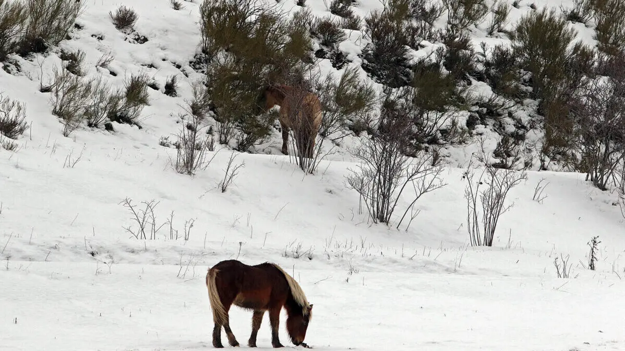 La nieve cubre los valles de la comarca de Arb&aacute;s, Le&oacute;n