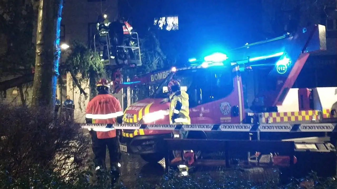 Los Bomberos de Le&oacute;n act&uacute;an tras la ca&iacute;da de un pino en un parque de la capital. El &aacute;rbol se desplom&oacute; en la plaza del Huevo por el efecto del temporal de lluvias de los &uacute;ltimos d&iacute;as, a&uacute;n visible en la ciudad.