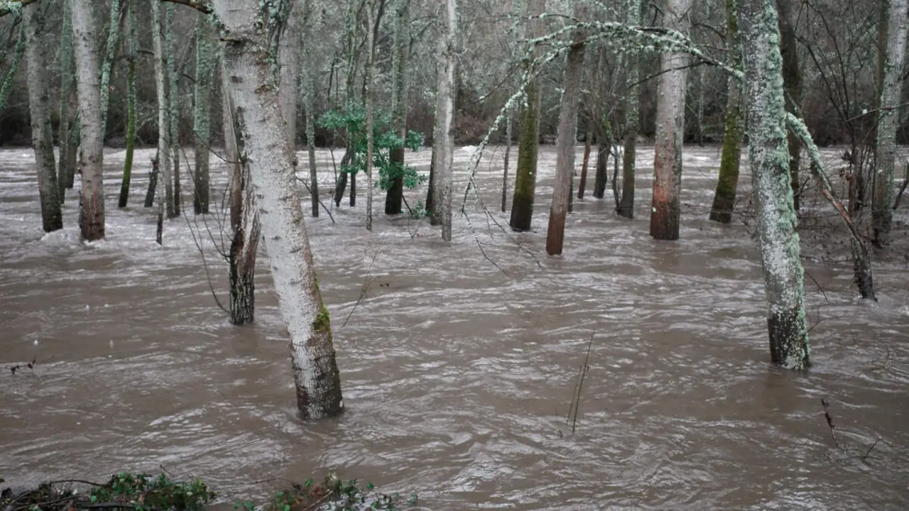 Accesos cerrados al paseo del r&iacute;o Sil a su paso por Ponferrada, debido al aumento del cauce por el temporal de lluvias