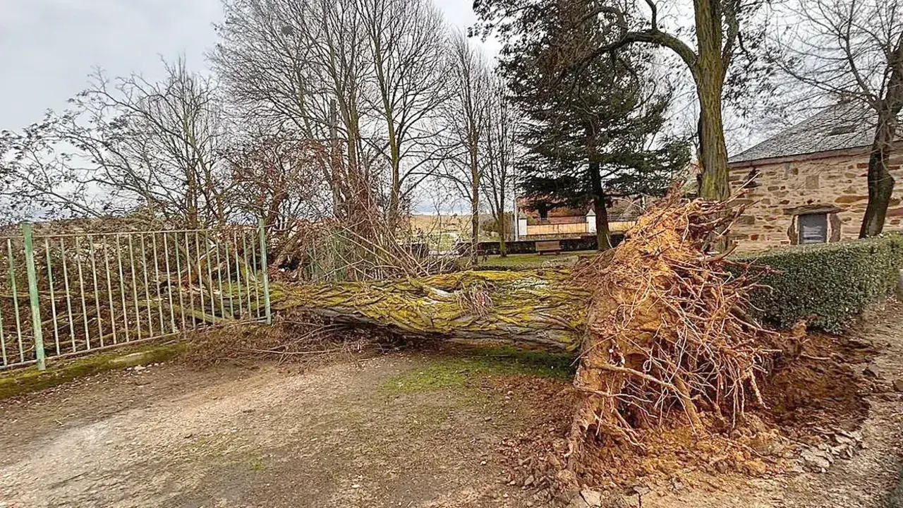 Las incidencias m&aacute;s destacadas se han registrado en espacios verdes, donde la combinaci&oacute;n de viento intenso y arbolado ha incrementado el riesgo de desprendimientos.