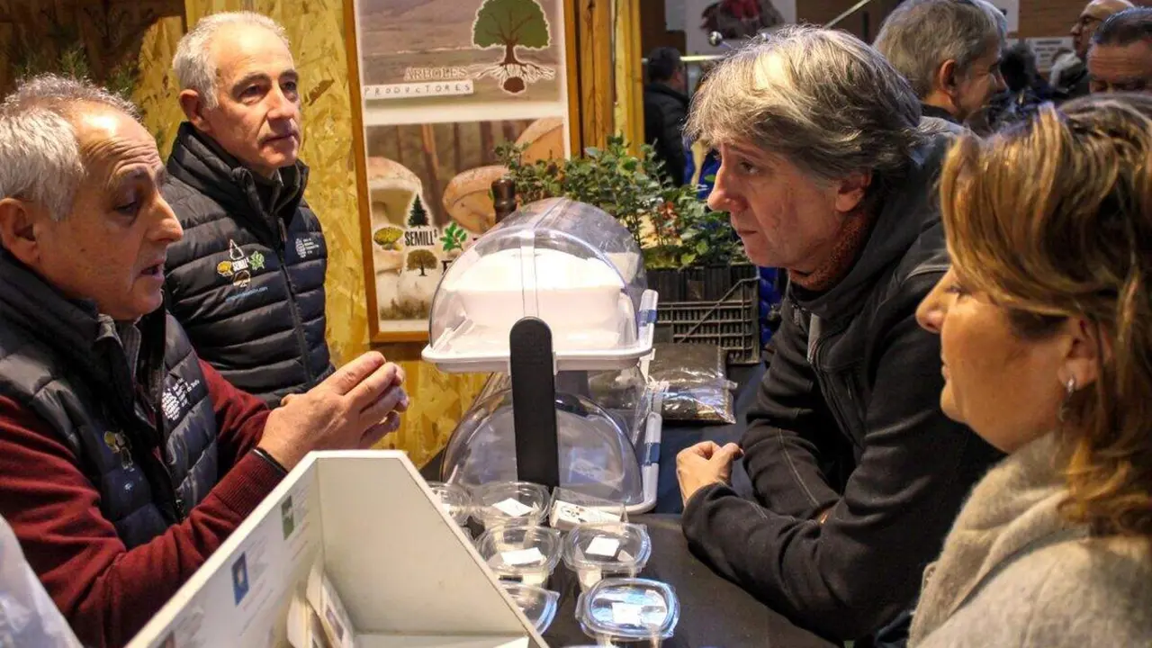El candidato del PSOE a la Presidencia de la Junta, Carlos Mart&iacute;nez, asiste a la inauguraci&oacute;n de la 23&ordf; Feria de la Trufa en Abejar (Soria). Foto: Concha Ortega.
