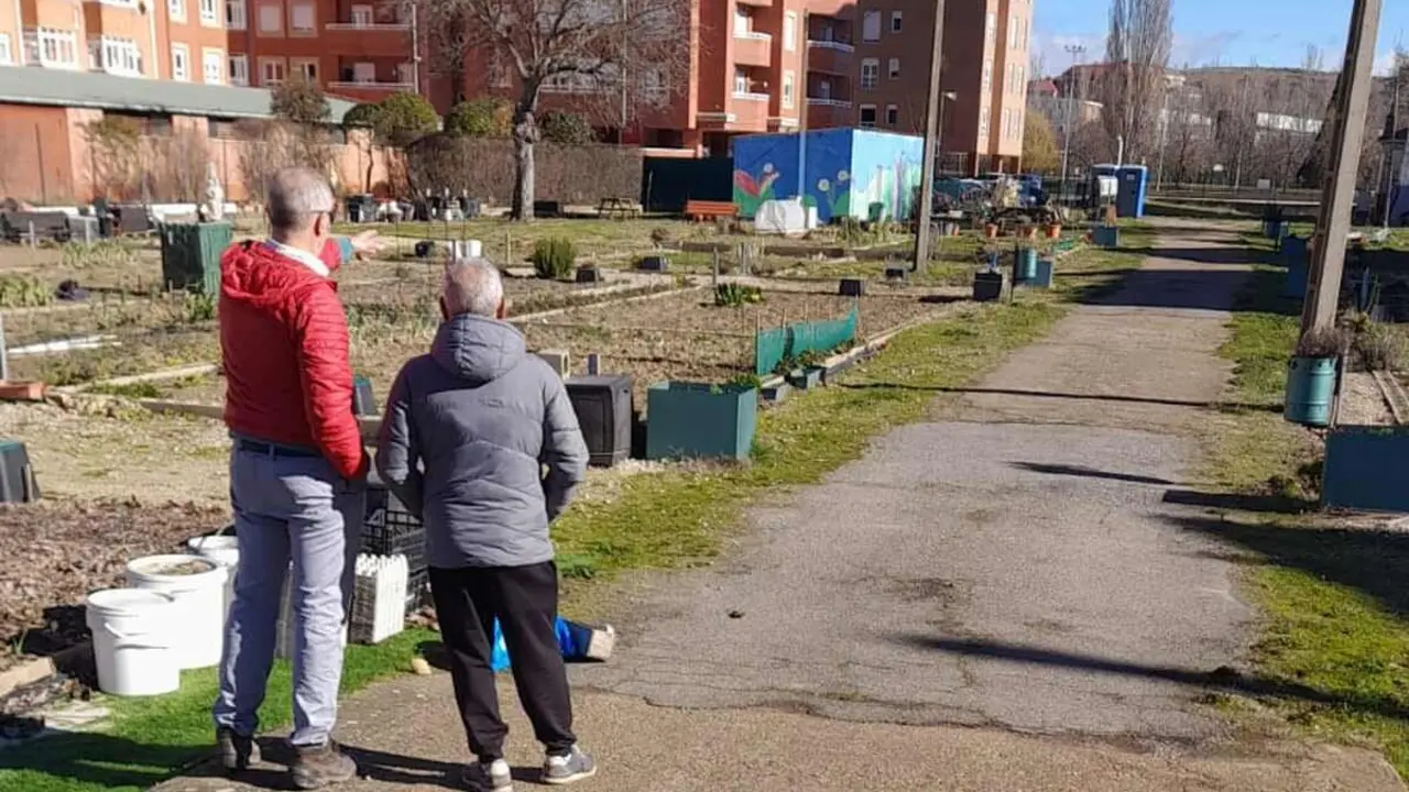 hueros San Andr&eacute;s
