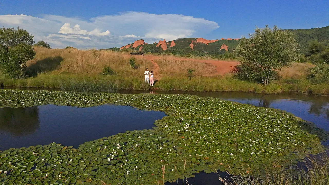Las M&eacute;dulas