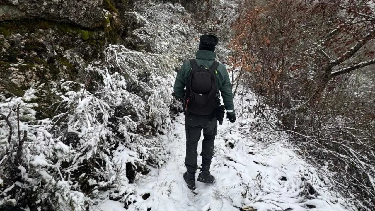 Efectivos de la Guardia Civil durante las labores de b&uacute;squeda y rastreo de la desaparecida.