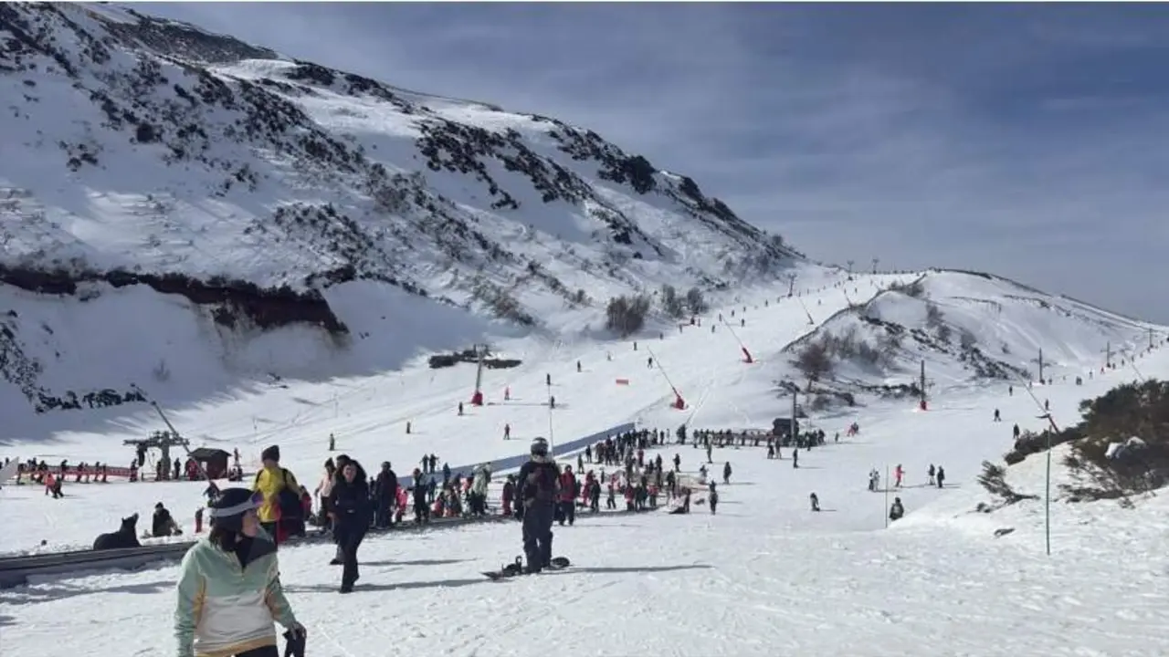 20260222-Leitariegos.jpeg_1119806932