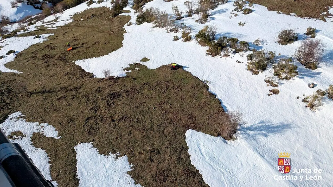 WhatsApp Image 2026-02-22 at 18.04.17