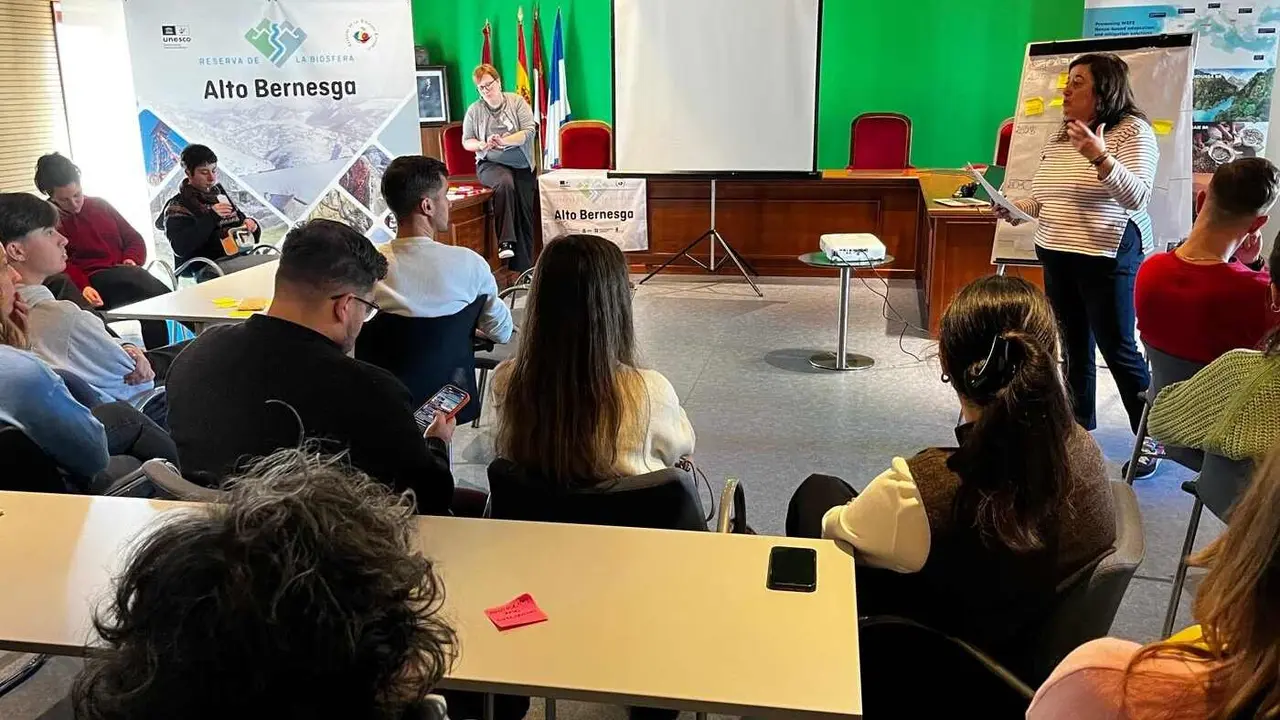 desarrollo de conclusiones