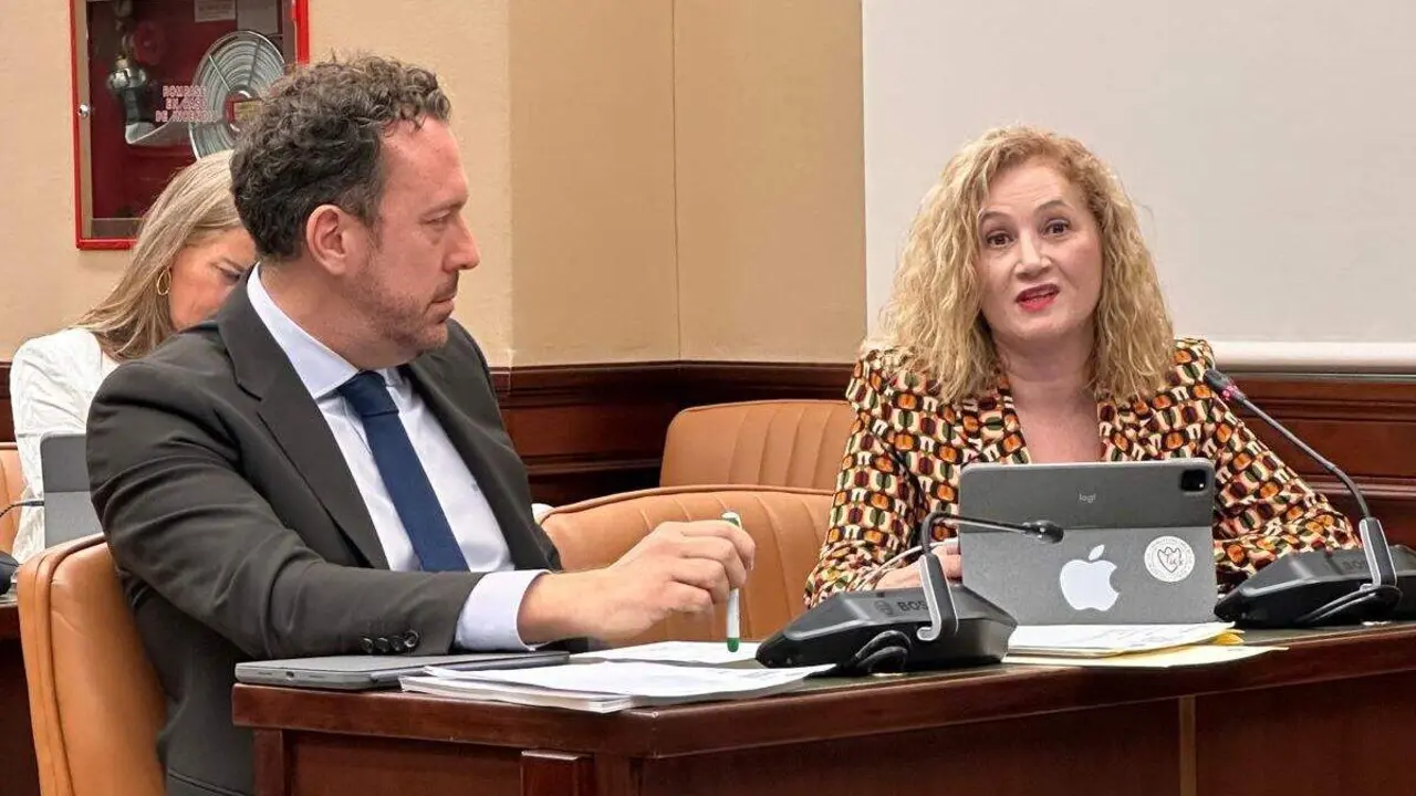La diputada Silvia Franco (PP) en la Comisi&oacute;n de Transportes.