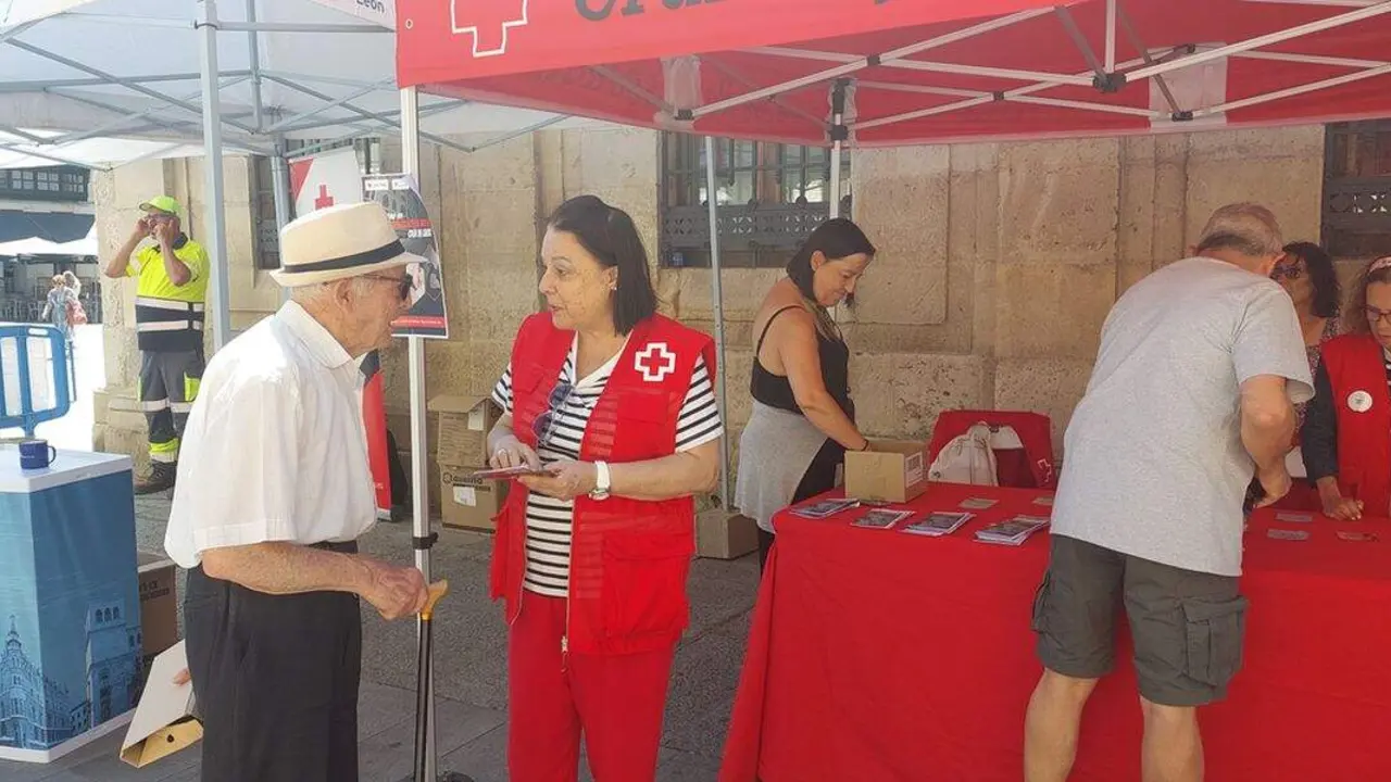 IMG Actividad OLA calor 1