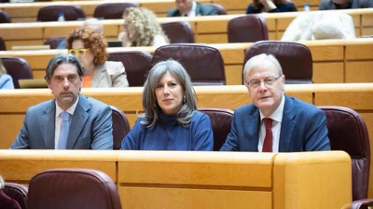 Los senadores del PP denuncian los incumplimientos del Gobierno con Le&oacute;n.