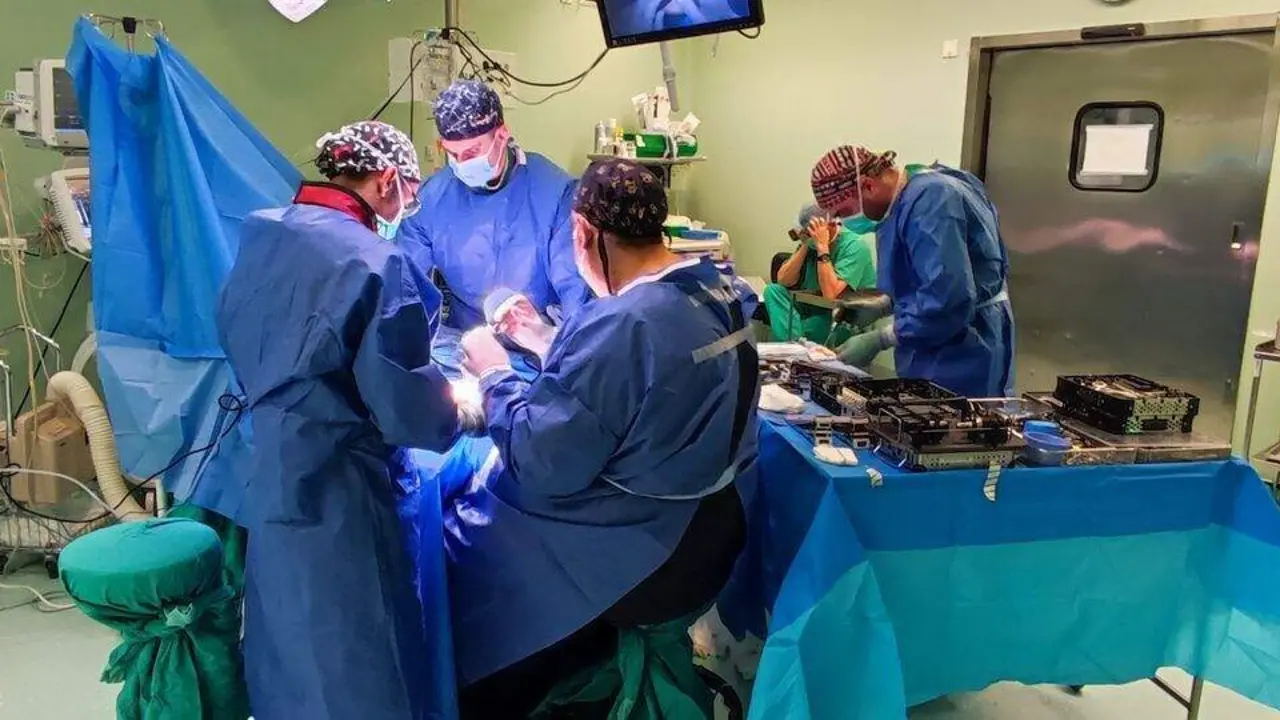 Jornada de pie y tobillo