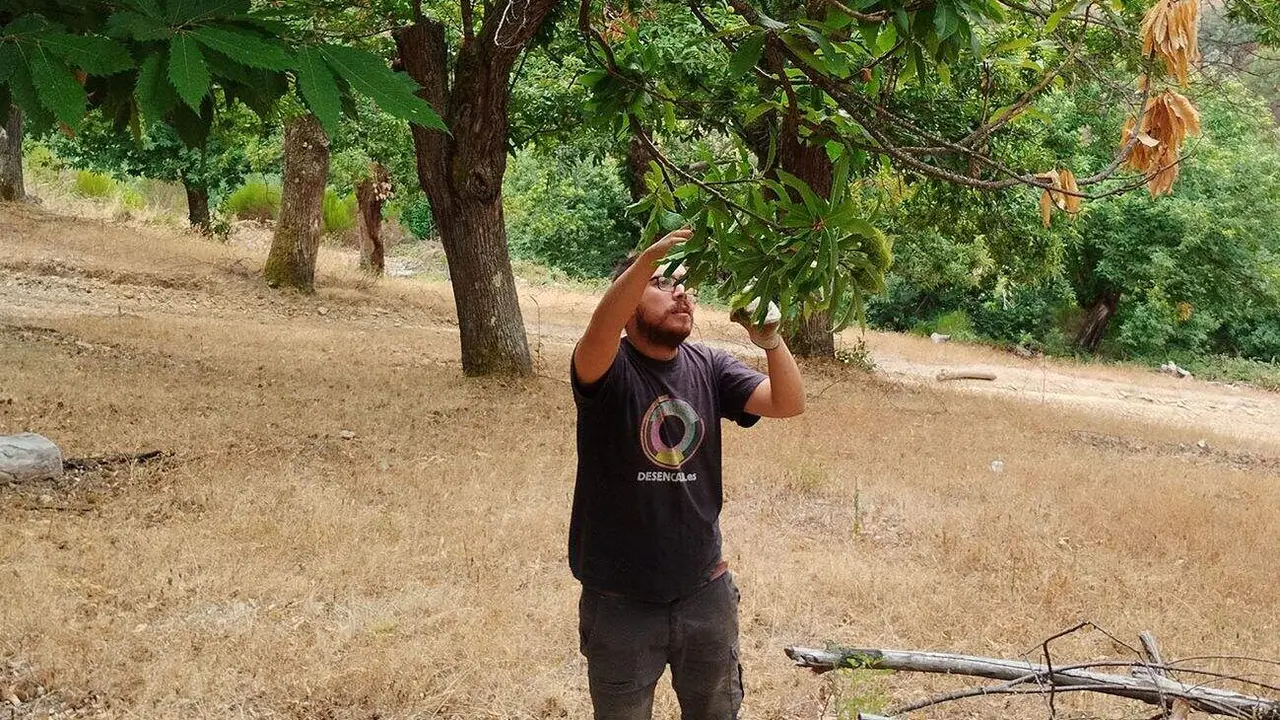 datos_servicios_ecosist_sotos (2)