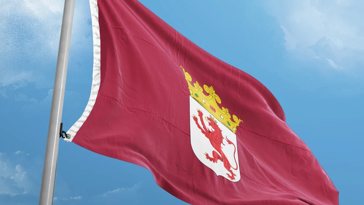 Imagen de una bandera de Le&oacute;n.