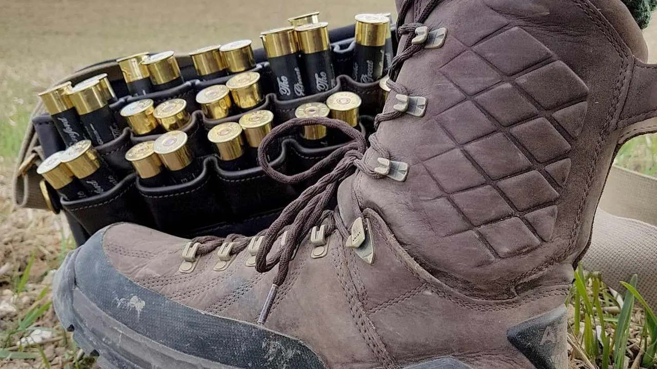 ngo1-shoe-3313318_1920