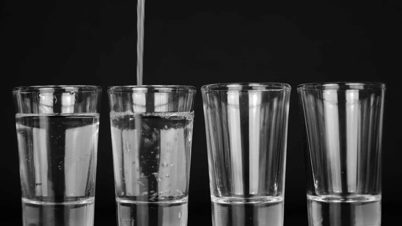 tookapic-glasses-933582