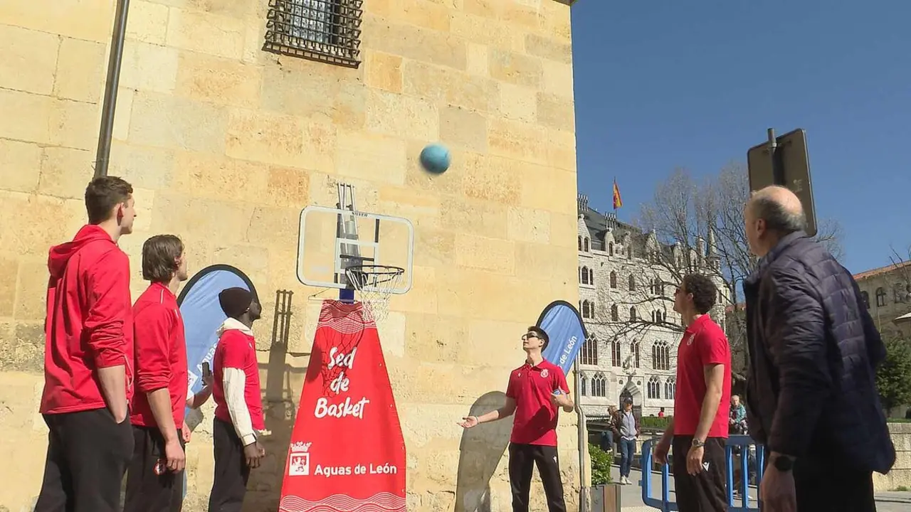 Captura de pantalla 2026-03-19 124957