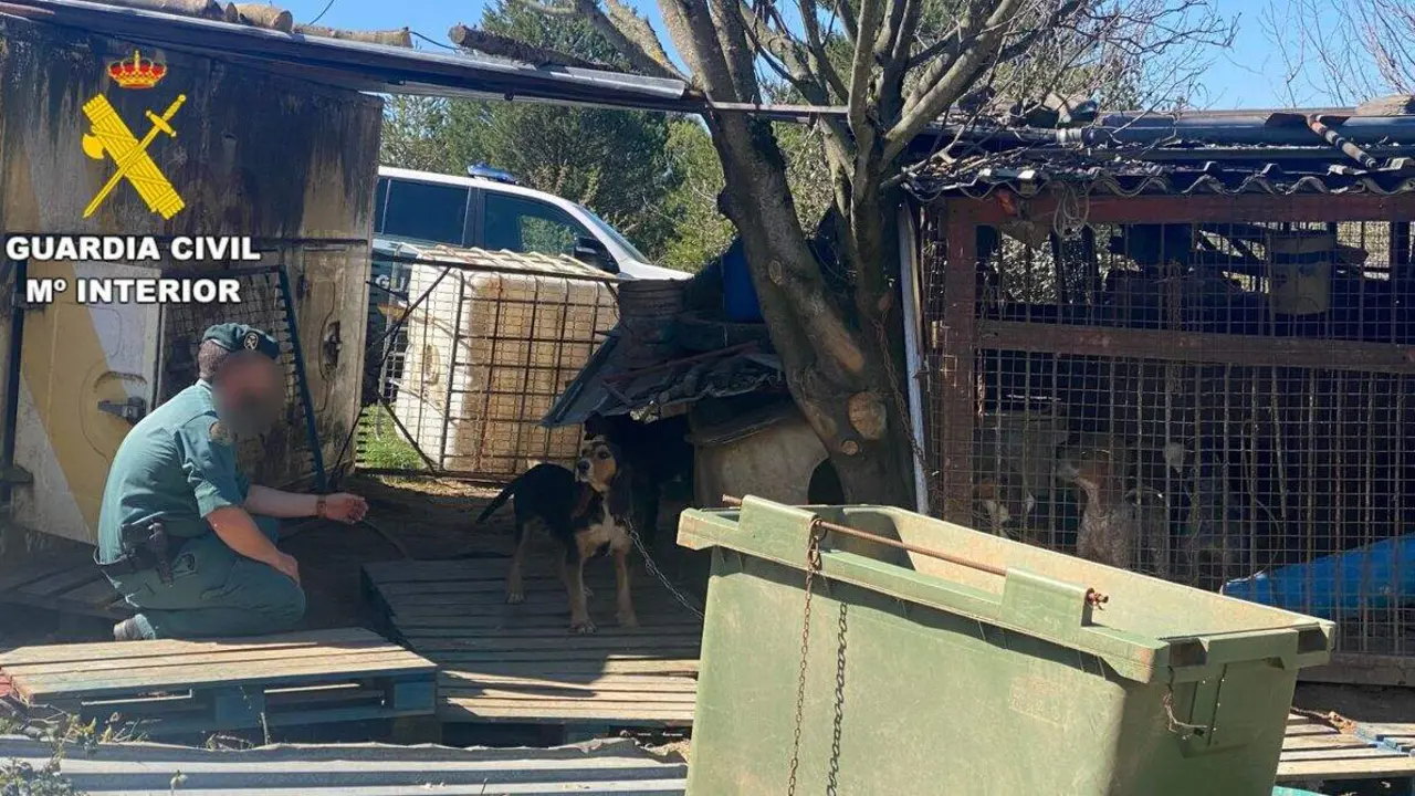 mALTRATAO ANIMAL El Bierzo