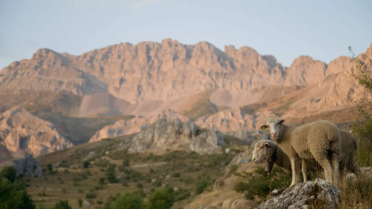 Fotograf&iacute;a de Kater&iacute;n &Aacute;lvarez 1