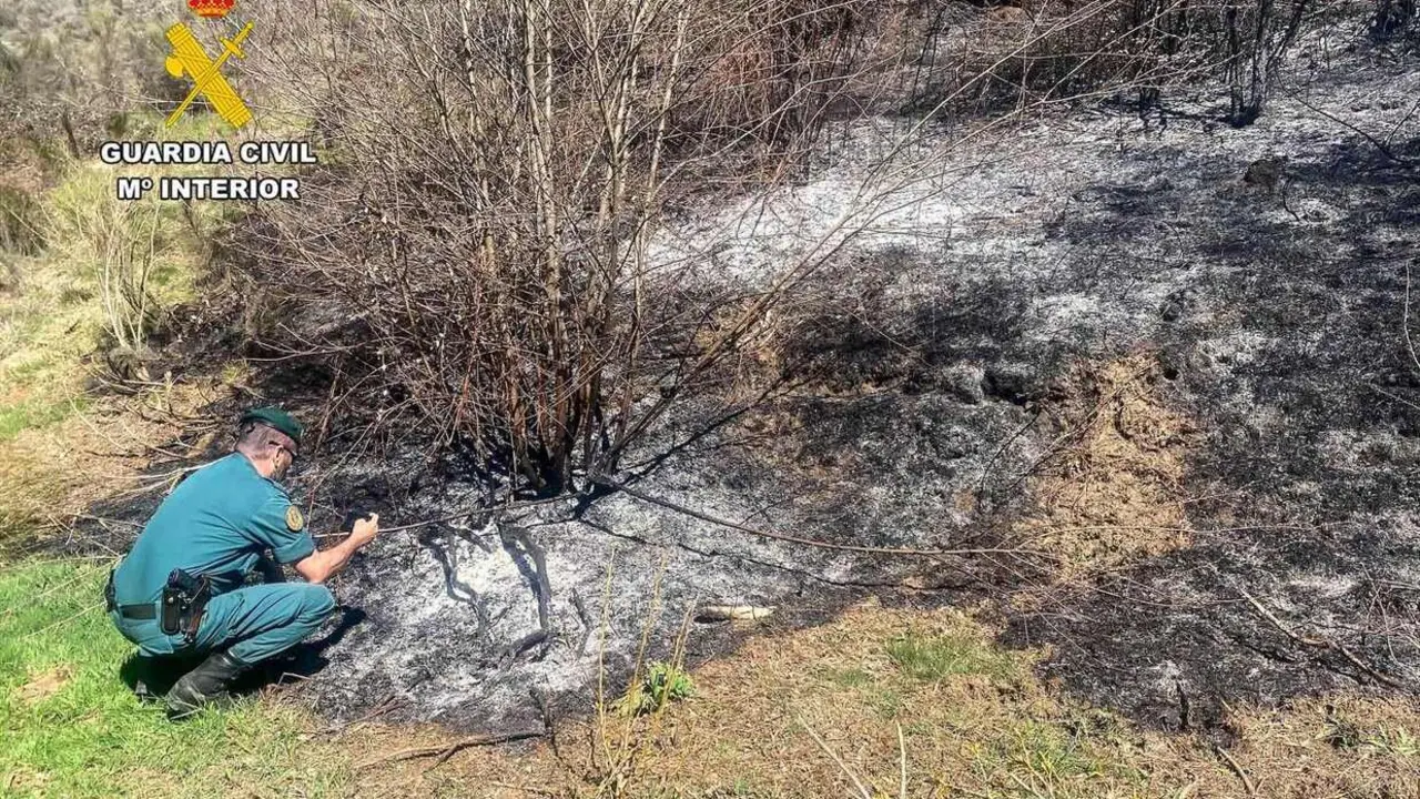 Efectivos del Seprona examinan la zona en la que se inici&oacute; el incendio.