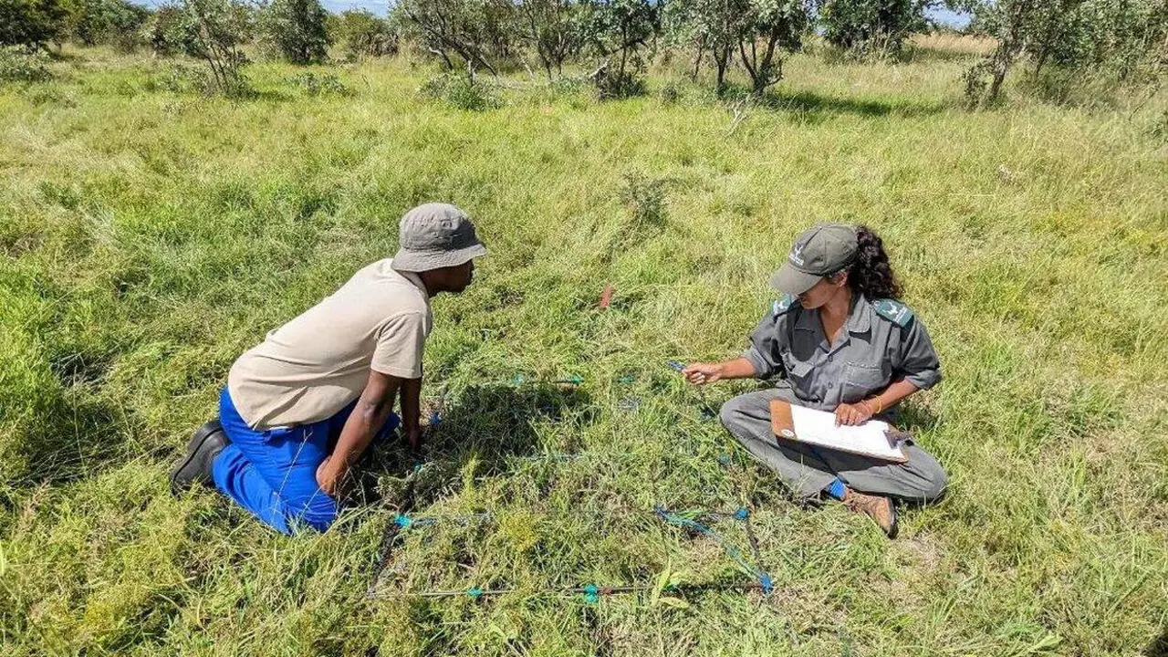 InvestigadoresCampusPonferrada_Africa