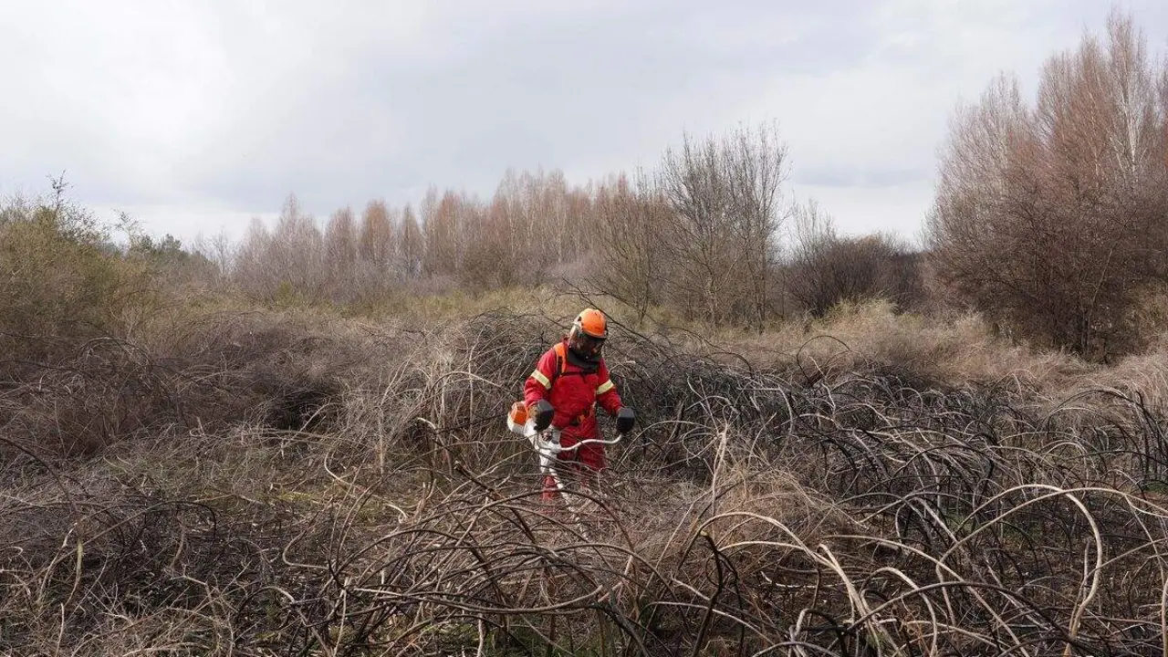 Un efectivo del Servicio de Prevenci&oacute;n y Extinci&oacute;n de Incendios realiza tareas de desbroce durante el invierno en la Sierra de la Culebra (Zamora)