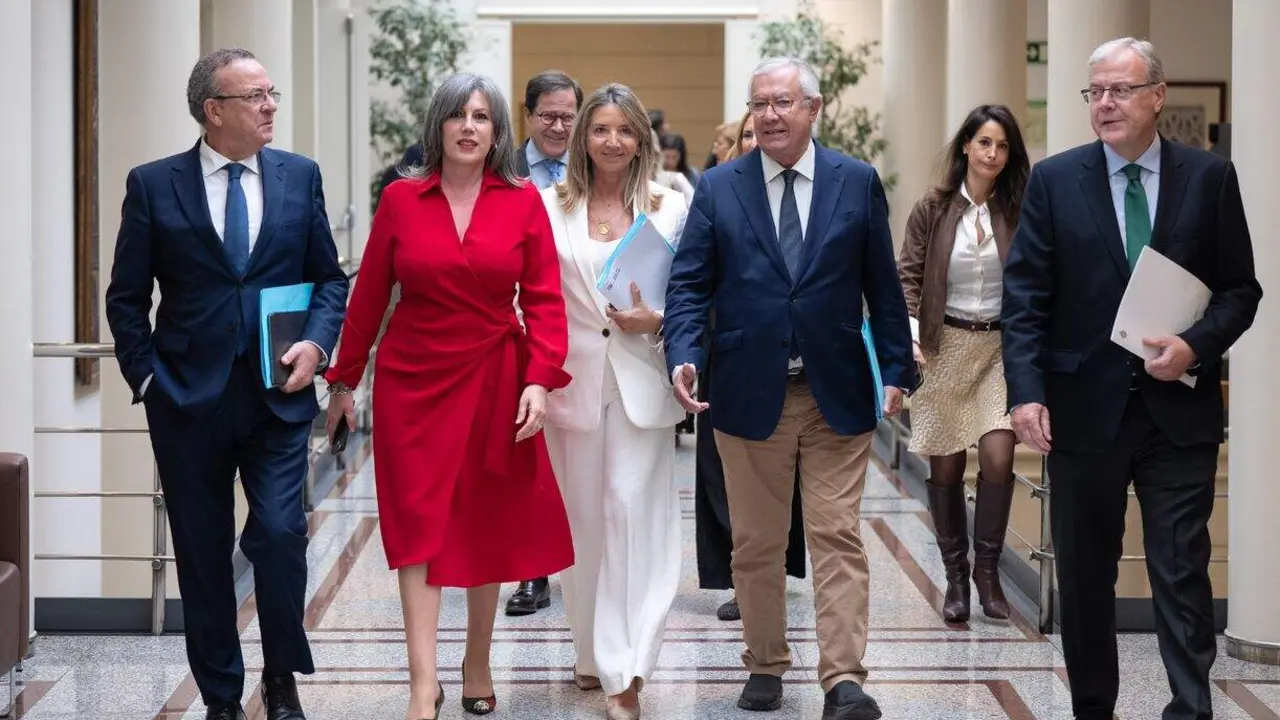 La senadora del PP por Le&oacute;n Asunci&oacute;n Mayo en la C&aacute;mara Alta. Foto: PP.