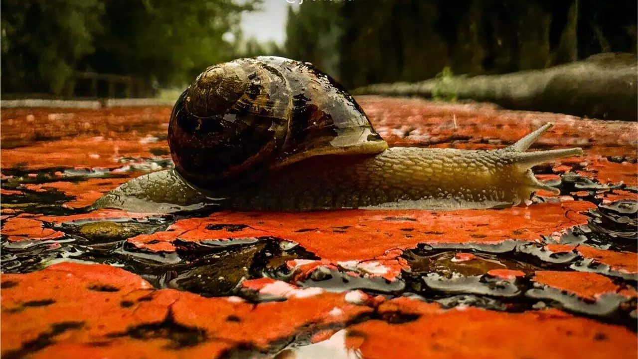 &lsquo;Postales desde el vac&iacute;o