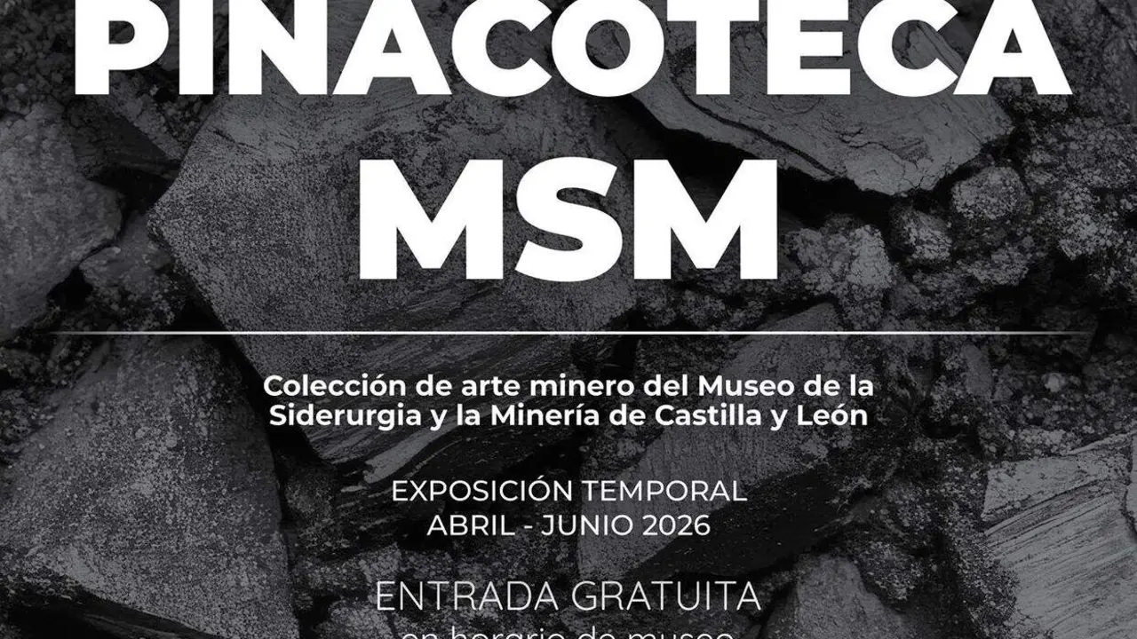 Pinacoteca MSM