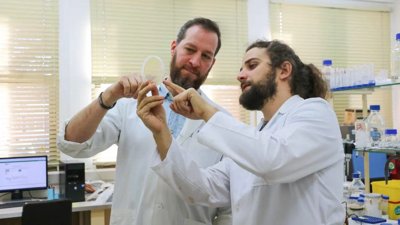 Investigadores de la ULE estudian c&oacute;mo reforzar la armadura de las plantas frente a enfermedades bacterianas aplicando residuos de t&eacute; verde