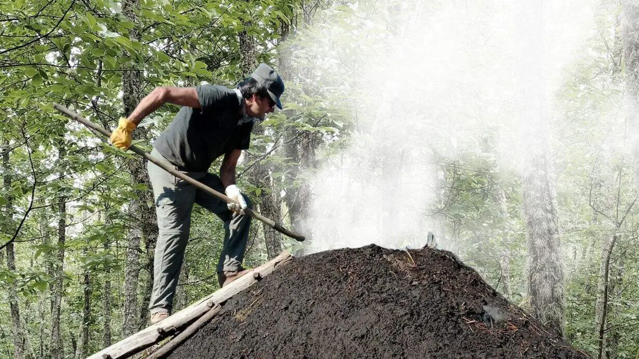 misi&oacute;n arb&oacute;n