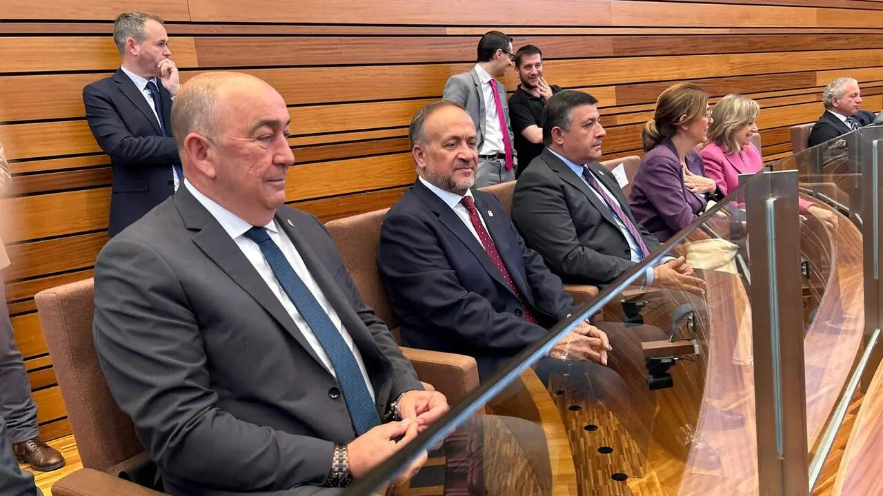 El presidente de la Diputaci&oacute;n de Le&oacute;n, Gerardo &Aacute;lvarez Courel, este martes en las Cortes. Foto: Diputaci&oacute;n de Le&oacute;n.