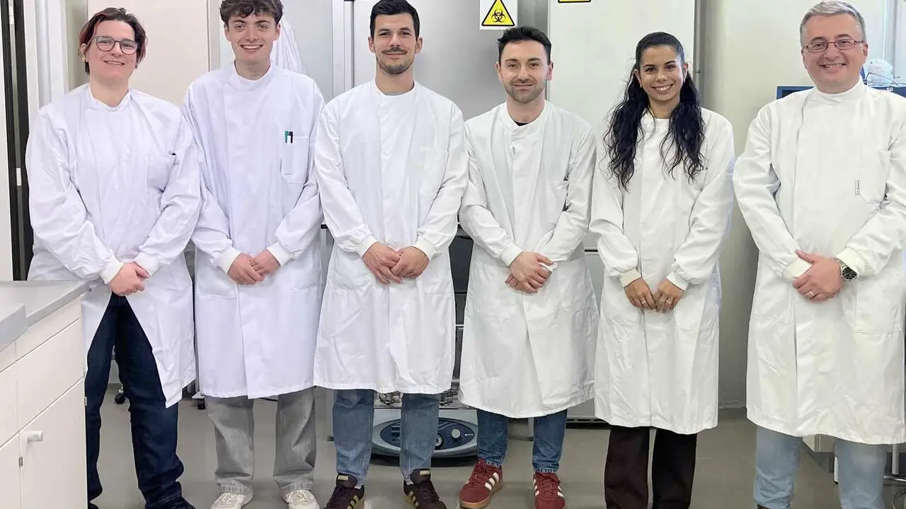 Blanca Lorente Torres, Sergio Fern&aacute;ndez Mart&iacute;nez, Jes&uacute;s Llano Verdeja, Pablo Casta&ntilde;era Estrada, Helena &Aacute;. Ferrero y Michal Letek Polberg.