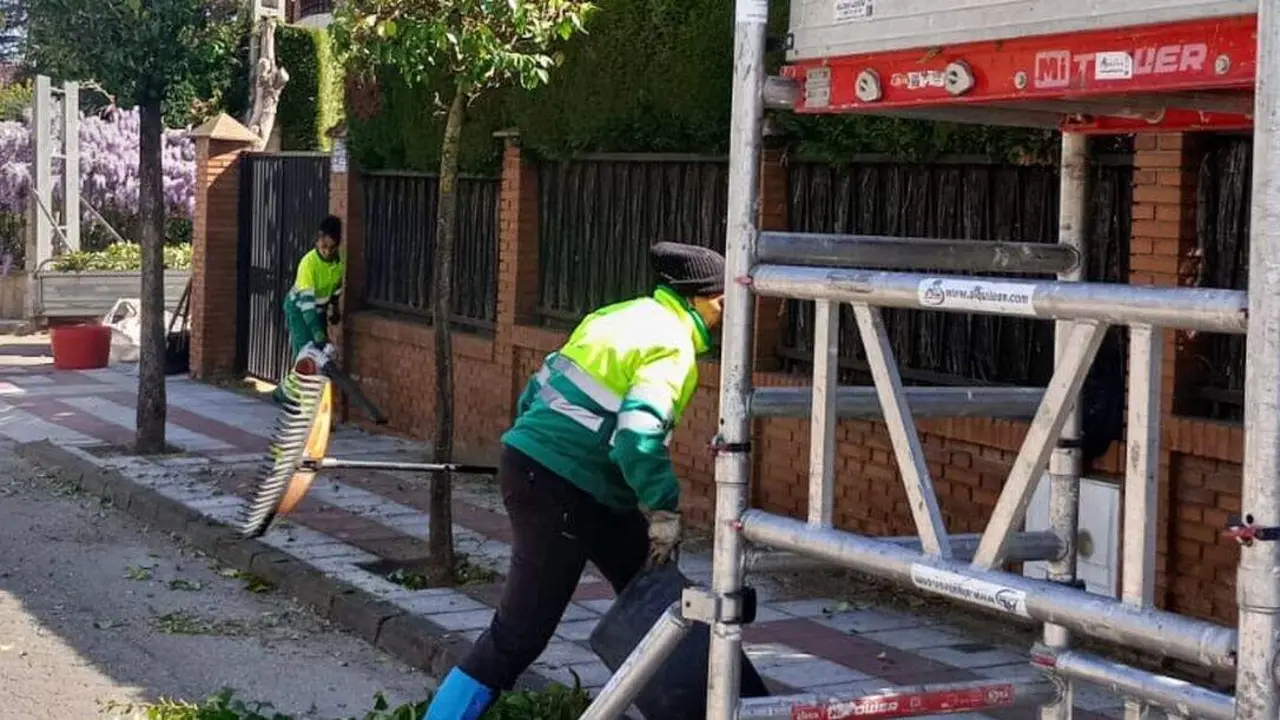 poda San Andr&eacute;s del Rabanedo