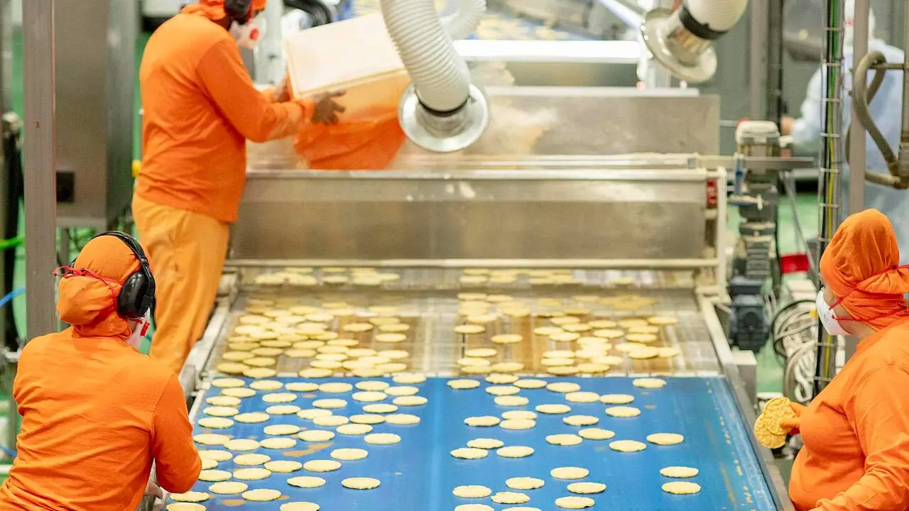 Proceso de elaboraci&oacute;n de tortitas de ma&iacute;z, en Cerealto.
