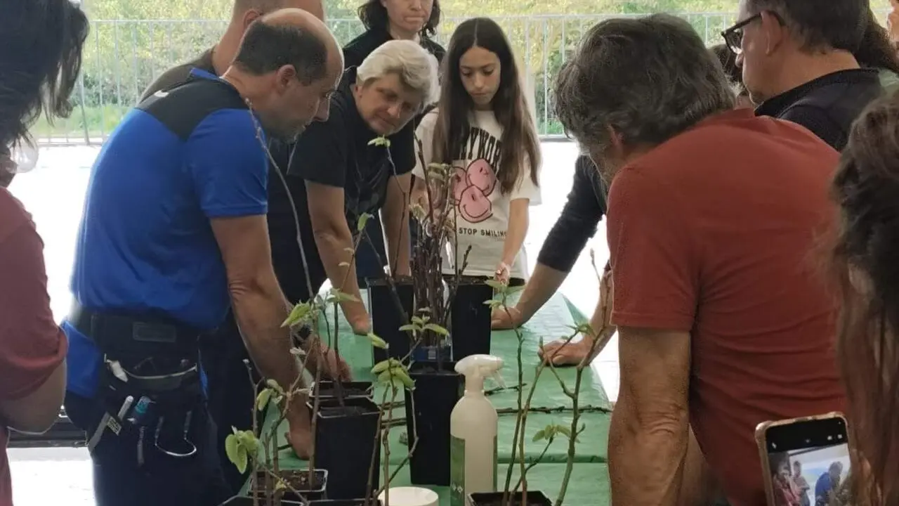 &Eacute;xito en el curso de injertos de casta&ntilde;o del proyecto Souto Vivo de ADR Bierzo Cabrera. Foto: ADR Bierzo Cabrera.