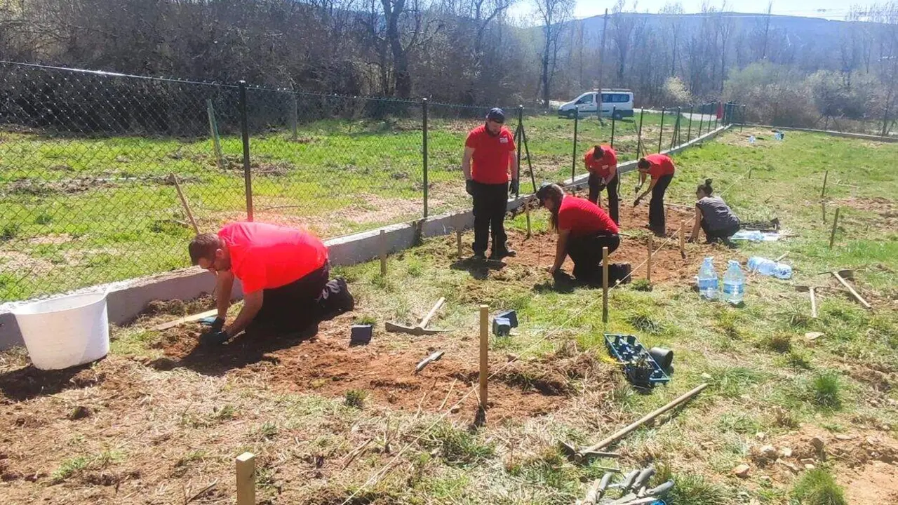 Parcela experimental en Quintana 1