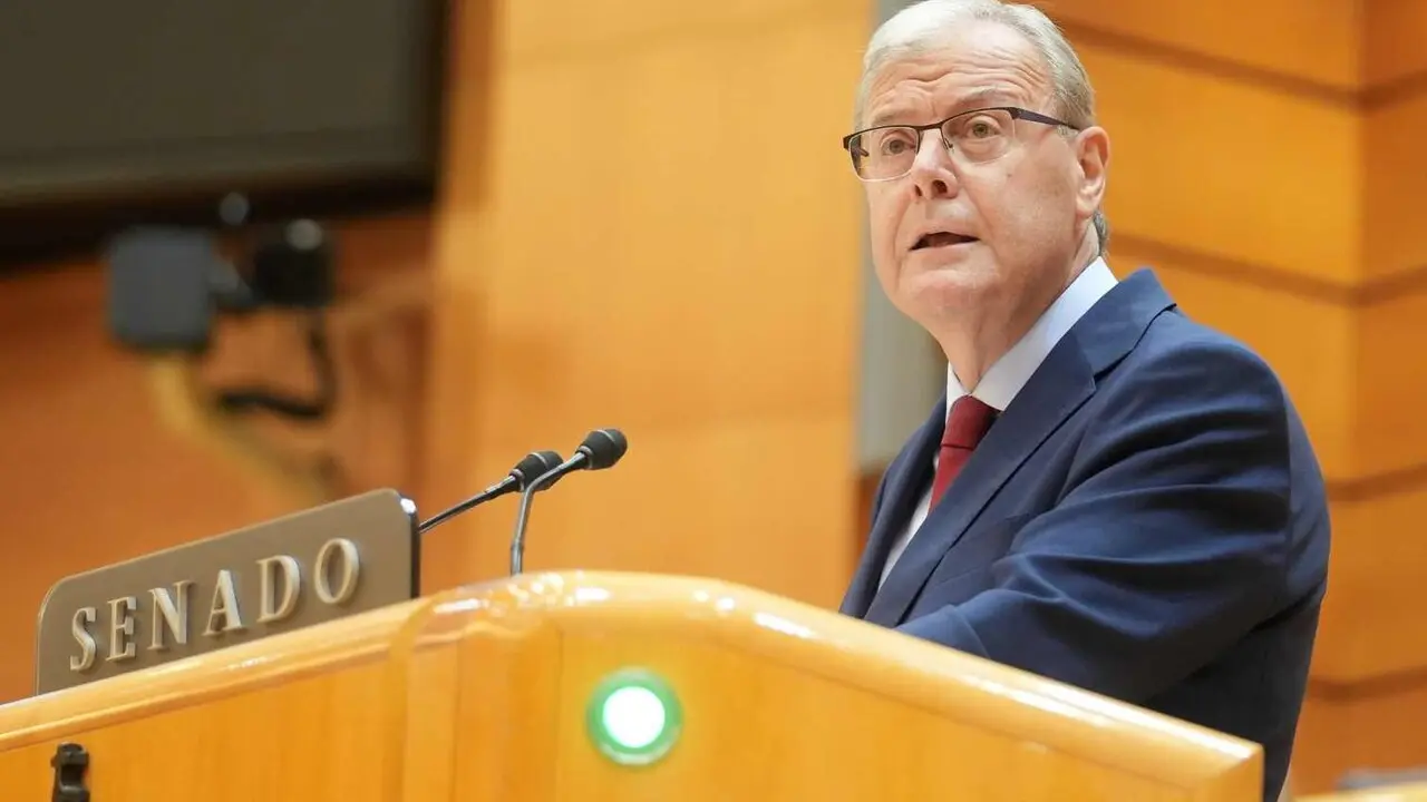Antonio Silv&aacute;n, durante su comparecencia en el Senado.