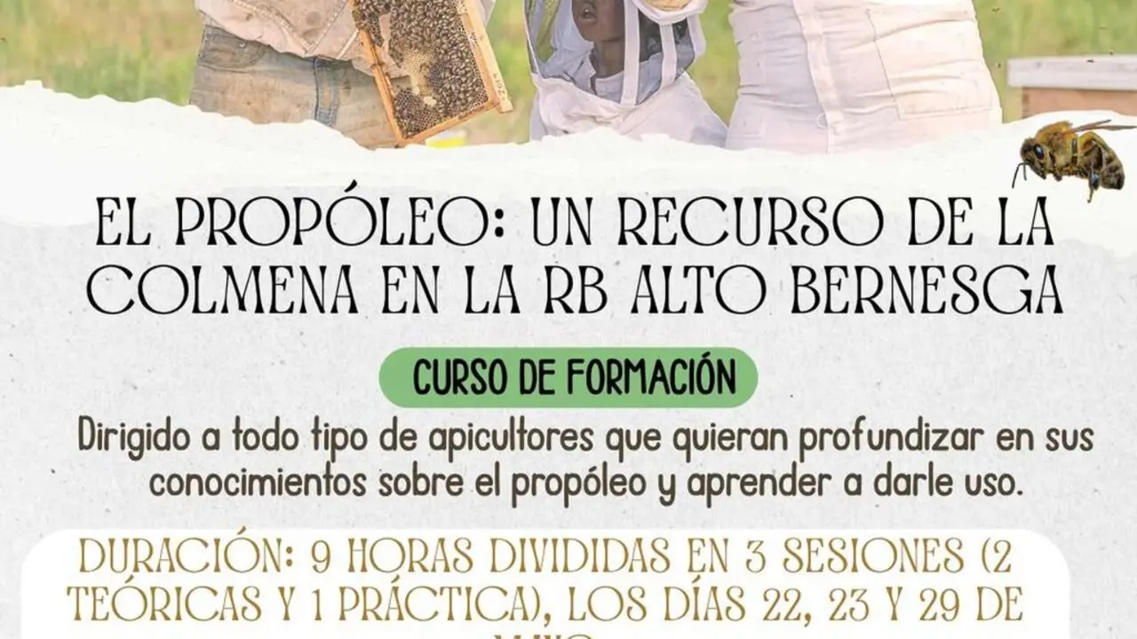P&oacute;ster curso prop&oacute;leo