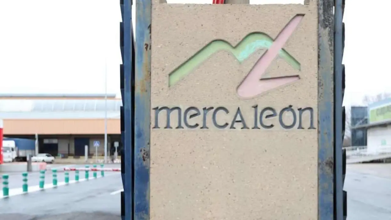 Imagen del acceso principal a Mercale&oacute;n.