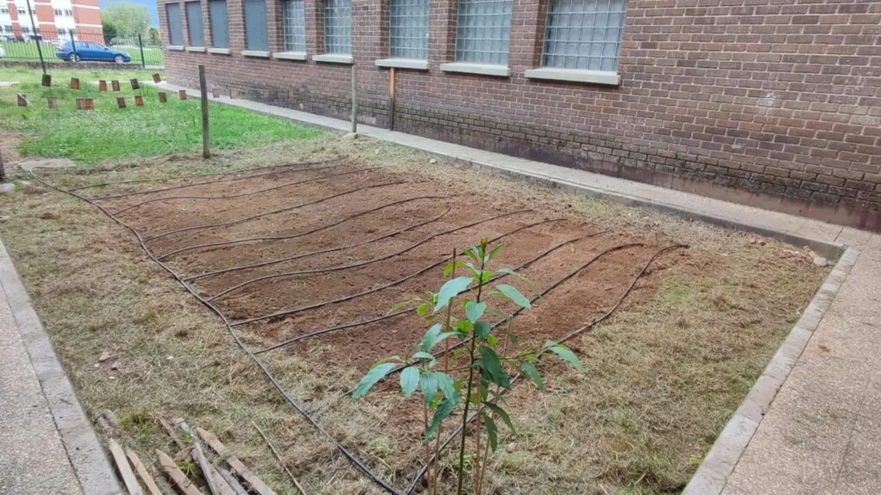 La Cogolla. Ponferrada pone a punto sus huertos escolares para educar en sostenibilidad. Siete centros educativos del municipio participan en esta iniciativa de econom&iacute;a circular y sensibilizaci&oacute;n ambiental.