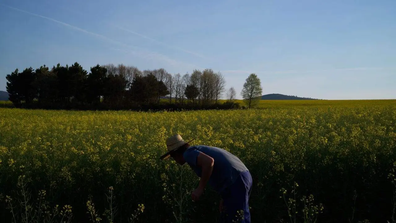 'Radio La Fontana', la solidaridad y la creatividad se dan la mano en Armunia