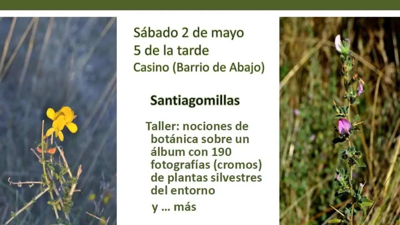 Imagen del cartel promocional de la actividad.