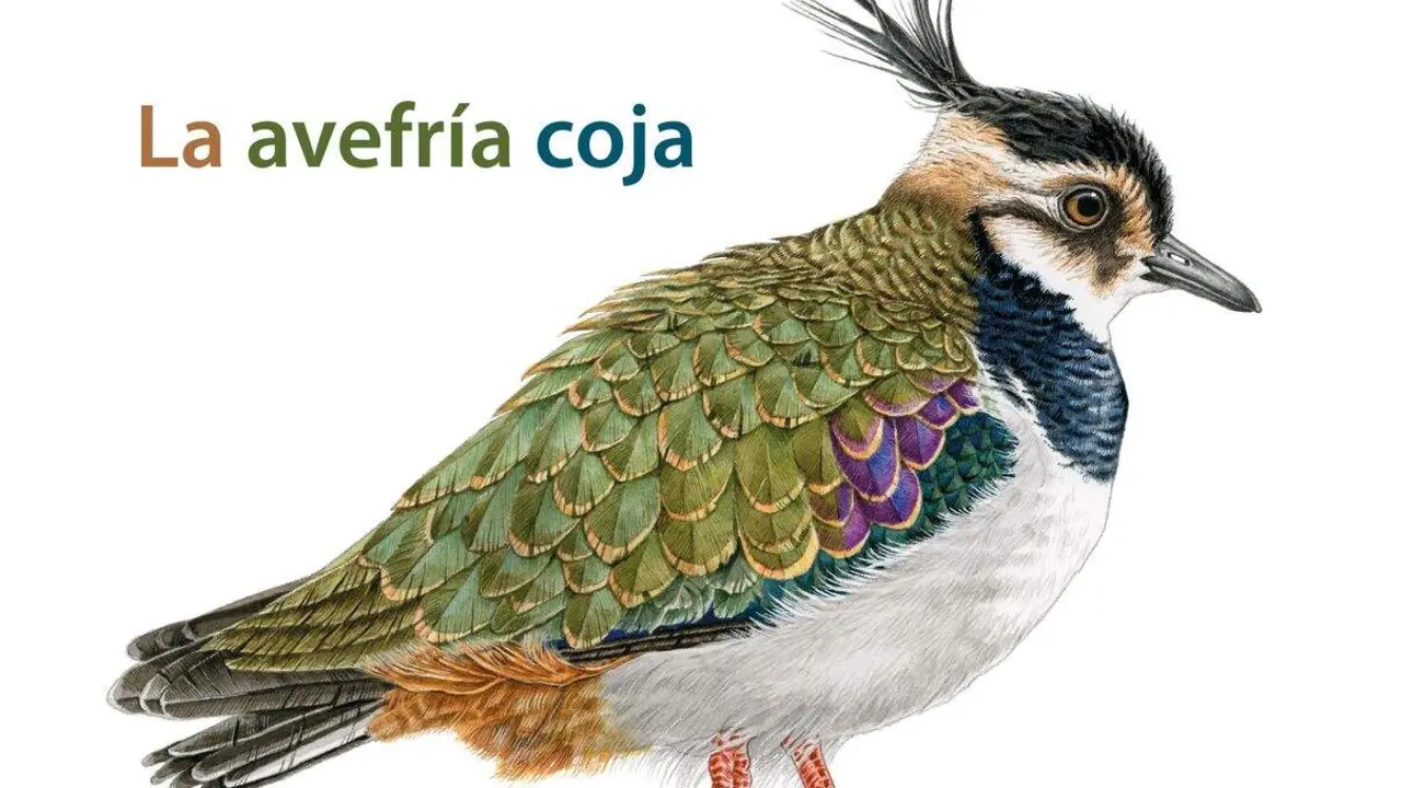 Portada del libro 'La avefr&iacute;a coja' del escritor Joaqu&iacute;n Alegre y editado por la Editorial Rimpego