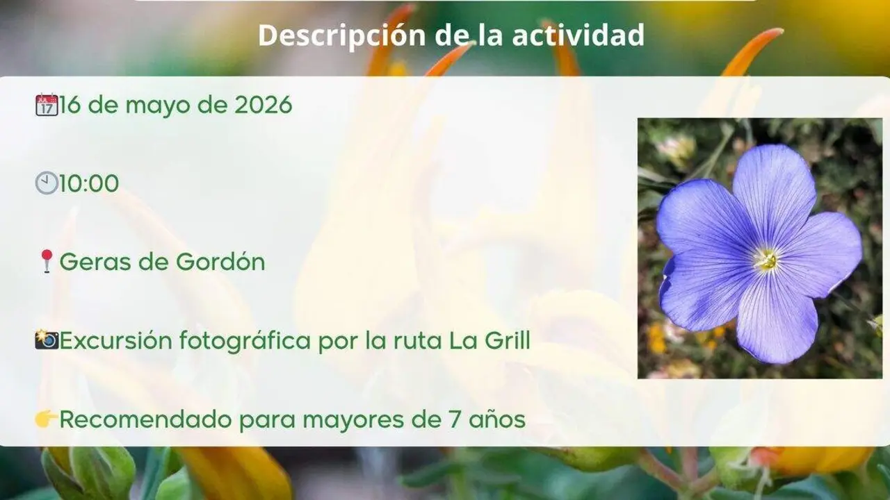 Cartel-Actividades
