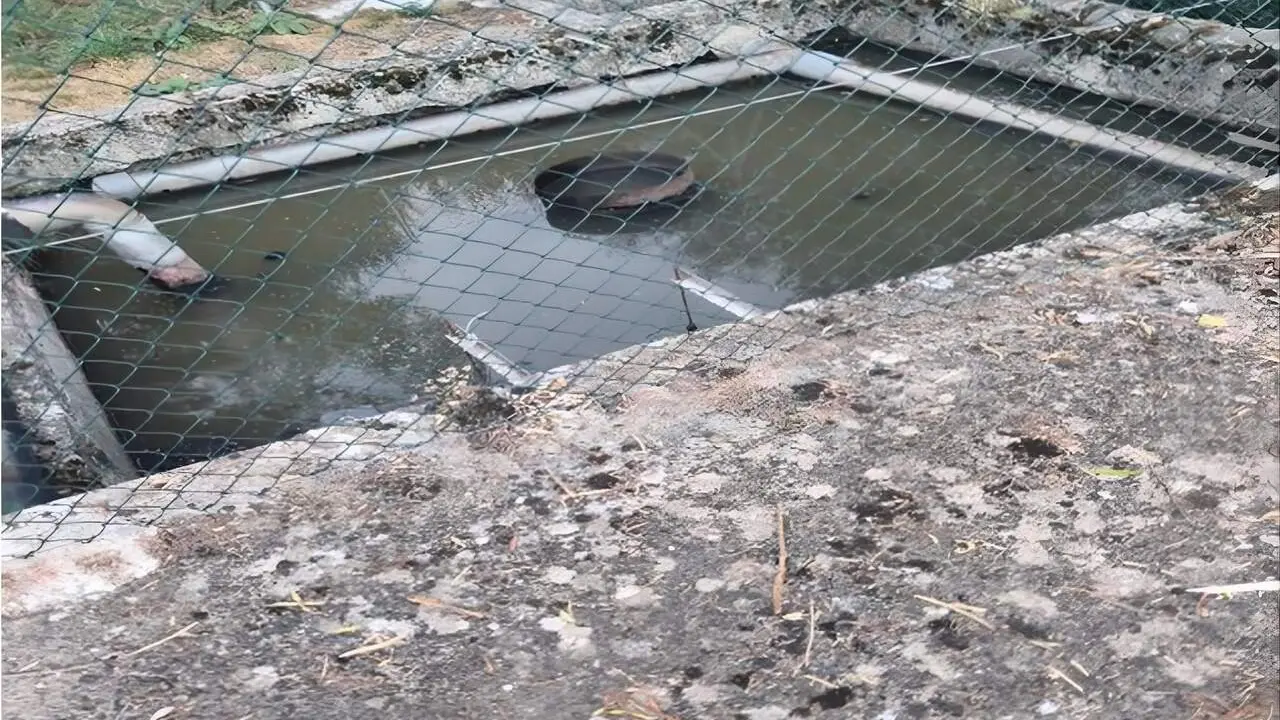 depuradora boca de hu&eacute;rgano