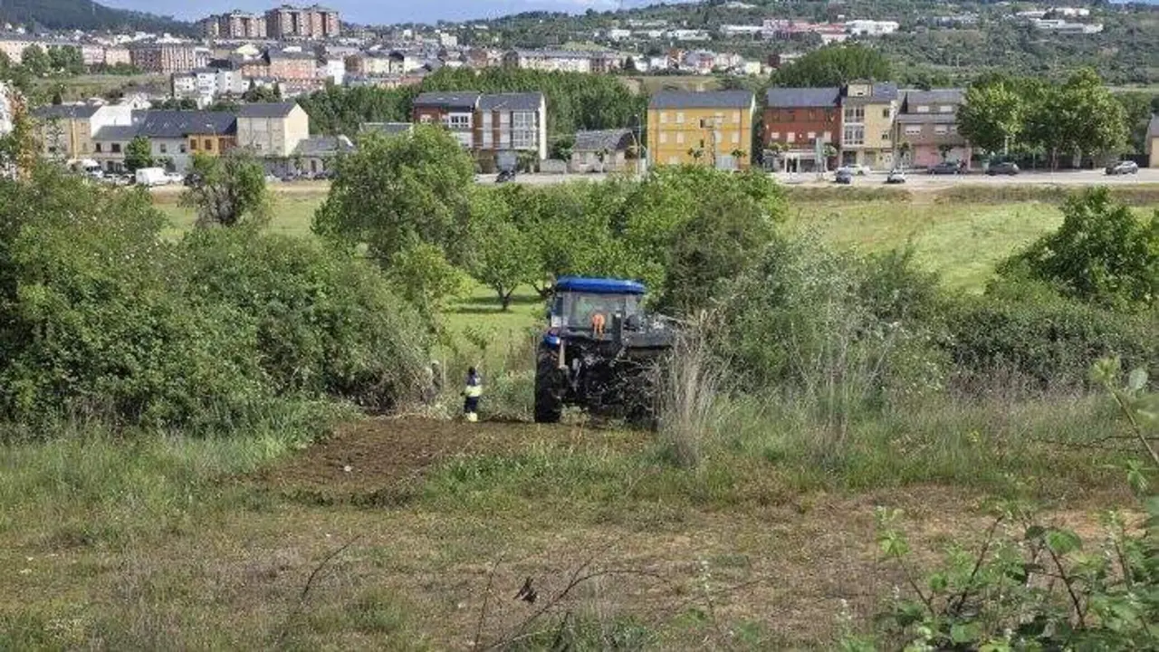 Trabajadores realizando mantenimiento en el &aacute;rea del Puente Boeza. Foto: Ayto. Ponferrada.
